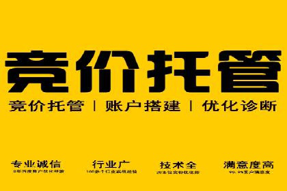 探索百度推广代理在电商行业的成功应用